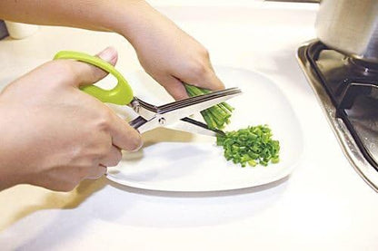 Ernesto Herb scissors